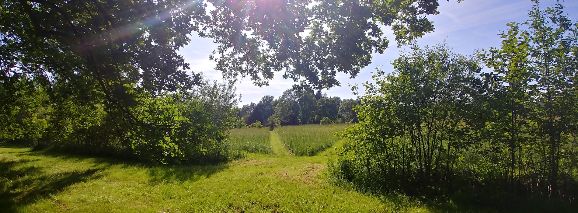 20180518_174827_HDR.jpg