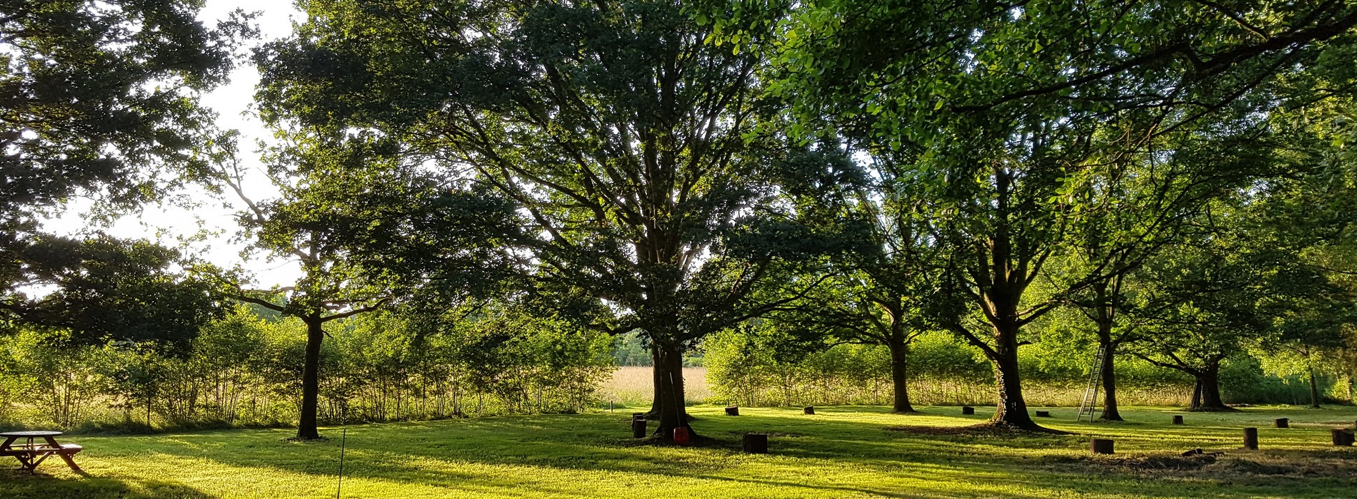 20180627_204109.jpg